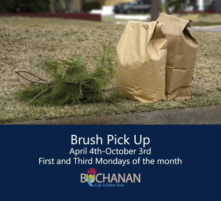 Brush and Yard Waste Pickup Buchanan Michigan