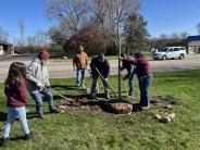 Tree Planting 2024