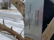Silver tag attached to a tree with tree name, donor, and other information