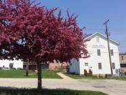 Historic Pears mill in summer with a redbud tree
