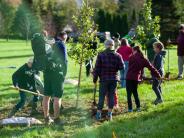 Group of people planting trees at the community tree planting