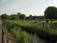 People enjoying a day out on the green grass at an event