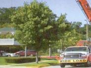 Image of a large construction crane installing a white Gazebo in the garden