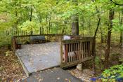 Wooden desk in the woods, overlooking creek below