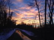 dark paved path in winter at sunset